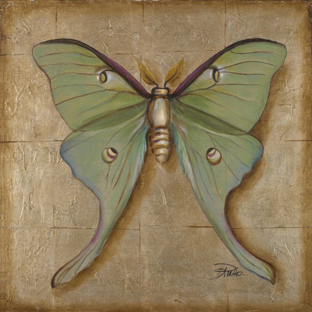 Luna Moth