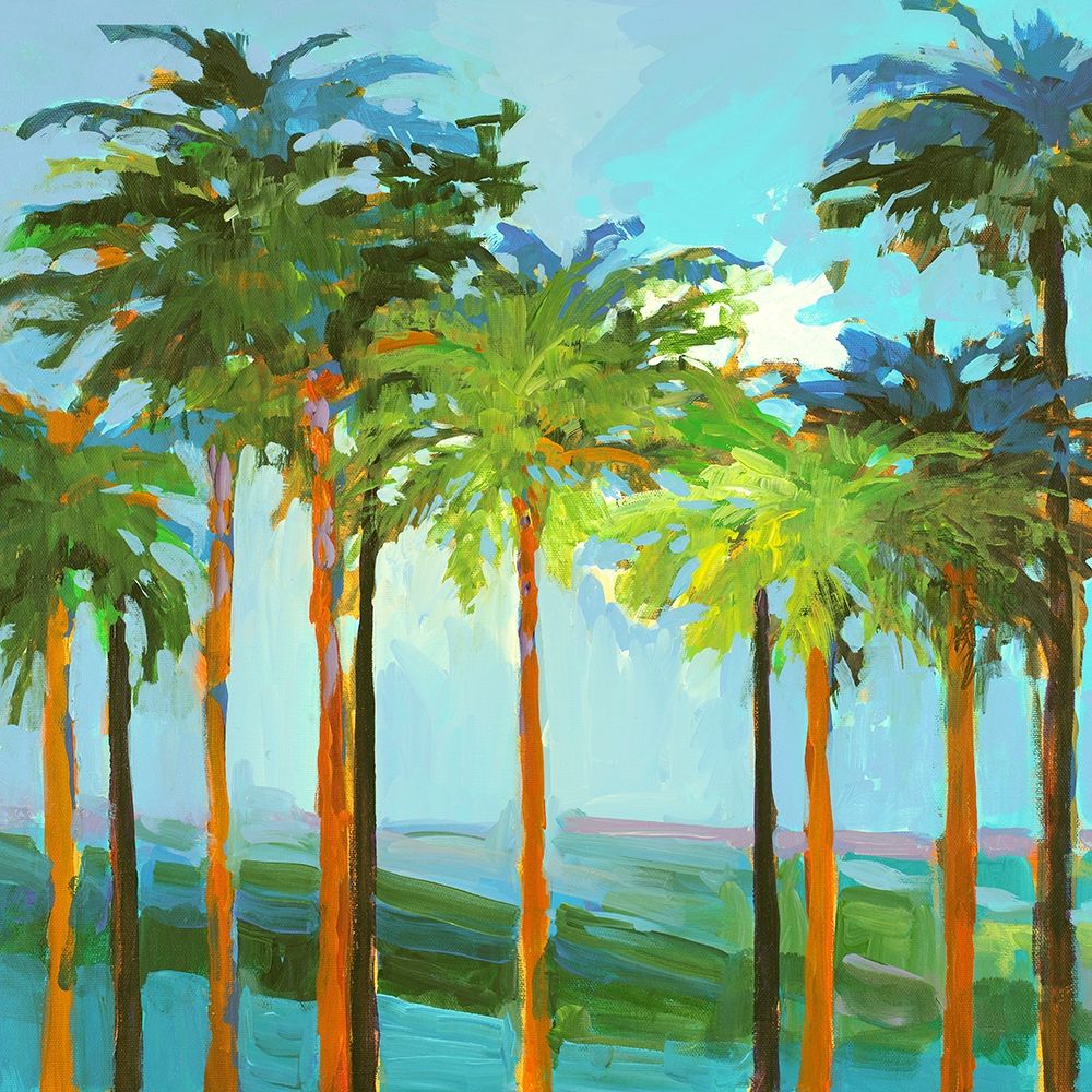 Sunny Palm Trees