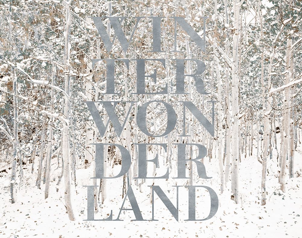 Winter Wonderland