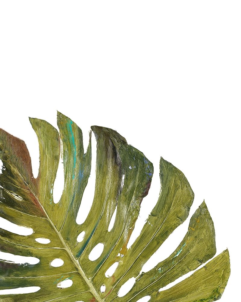 Partial Palm I