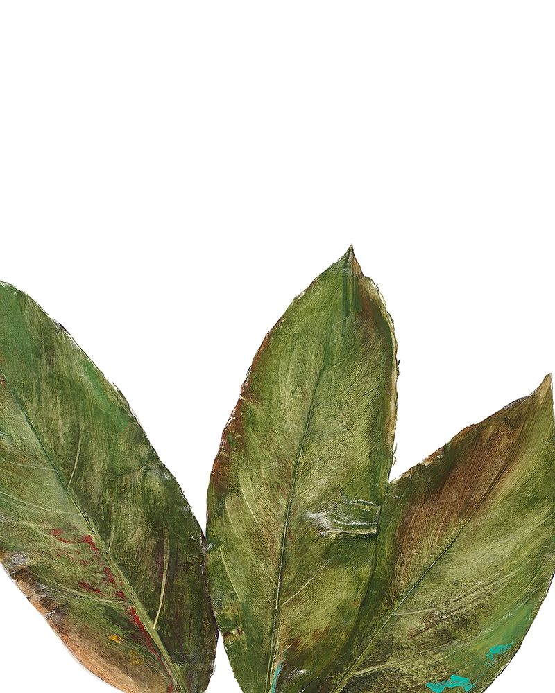 Partial Palm III