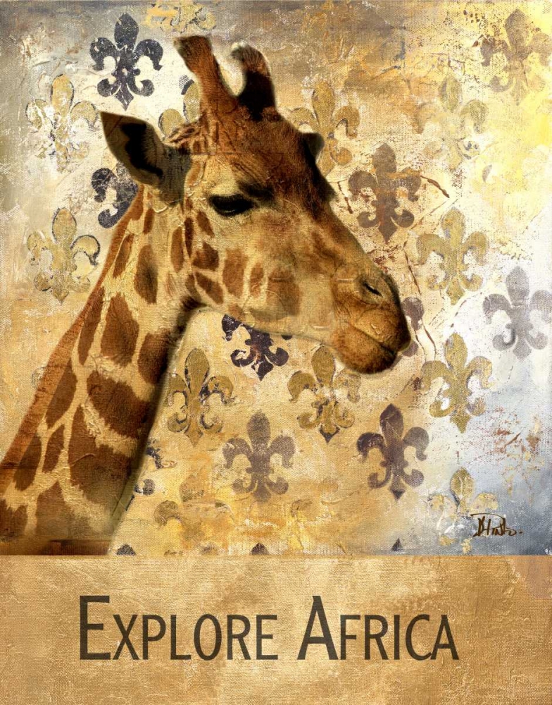 Explore Africa