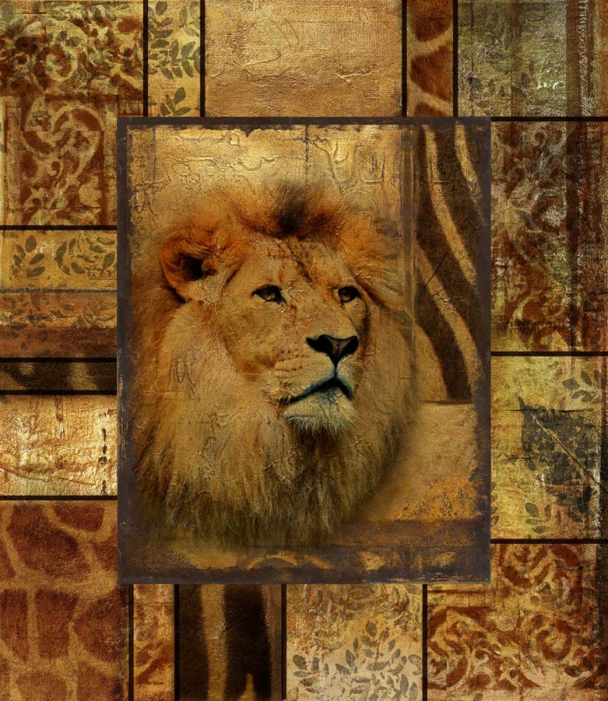Decorative Safari II (Lion)