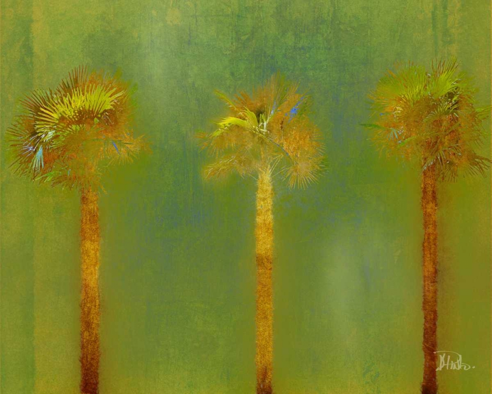 Three Palms II