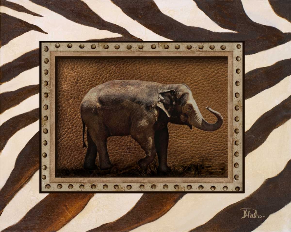 New Zebra Inspiration I