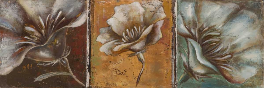 The Three Poppies I