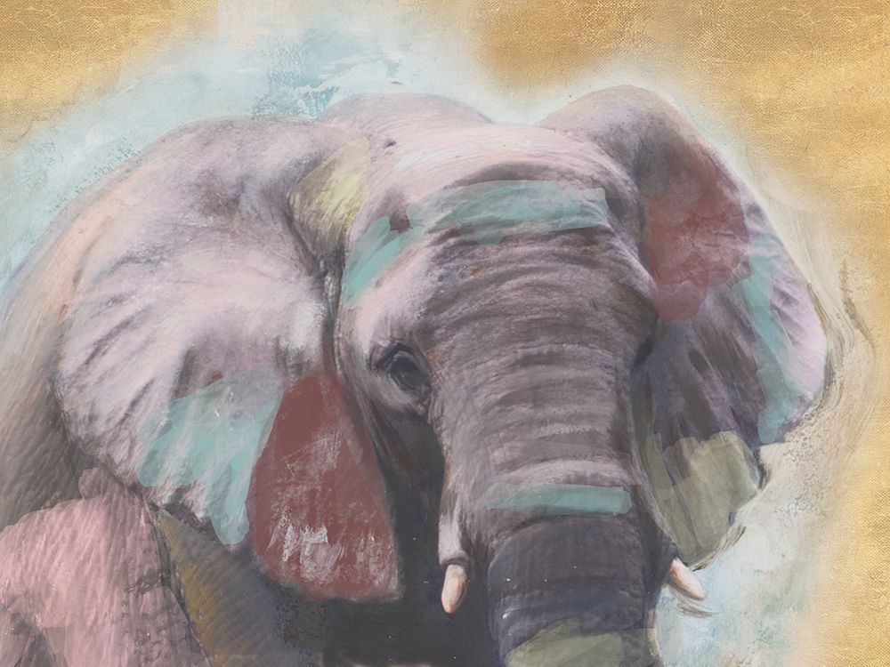 Pastel Elephant