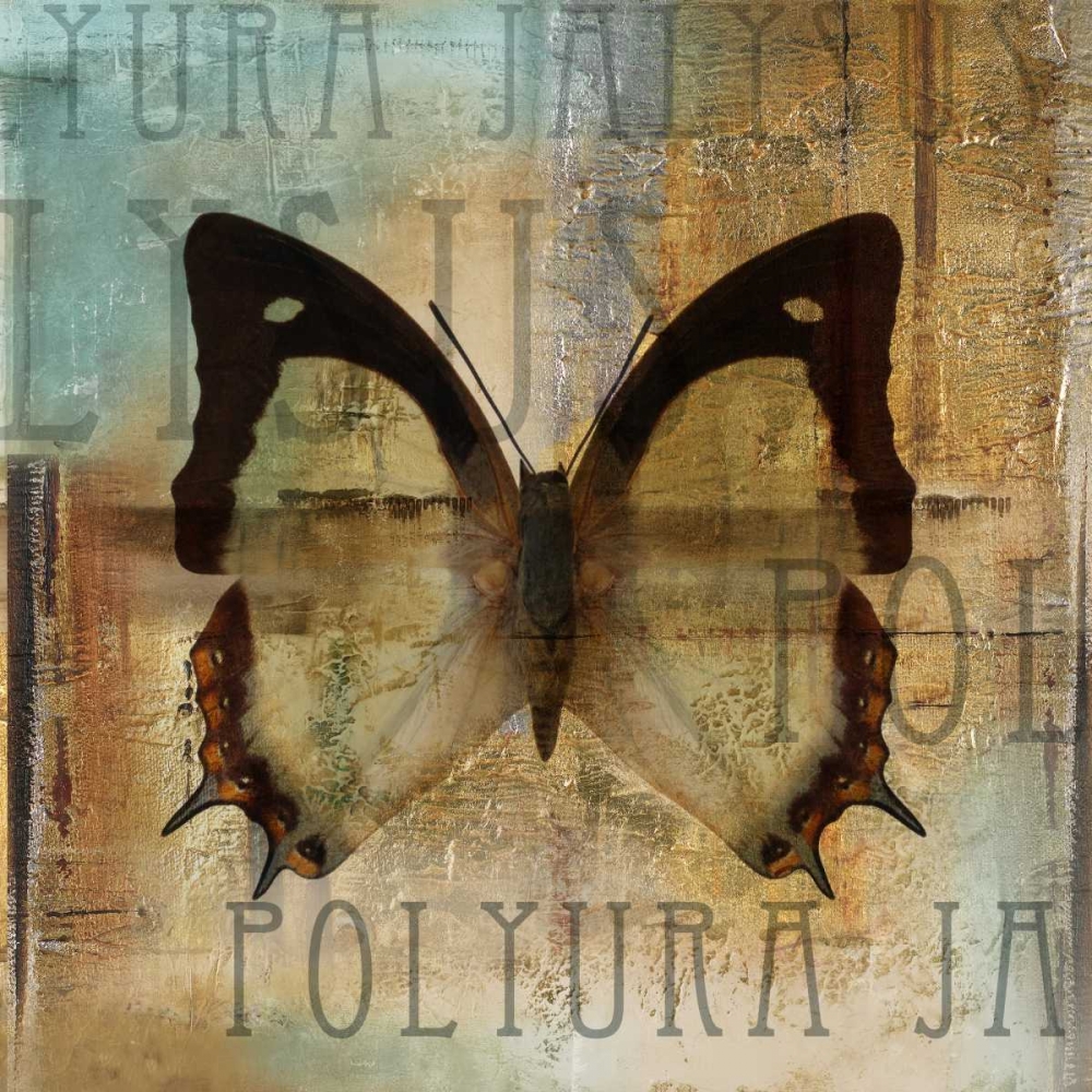 Polyurabutterfly I