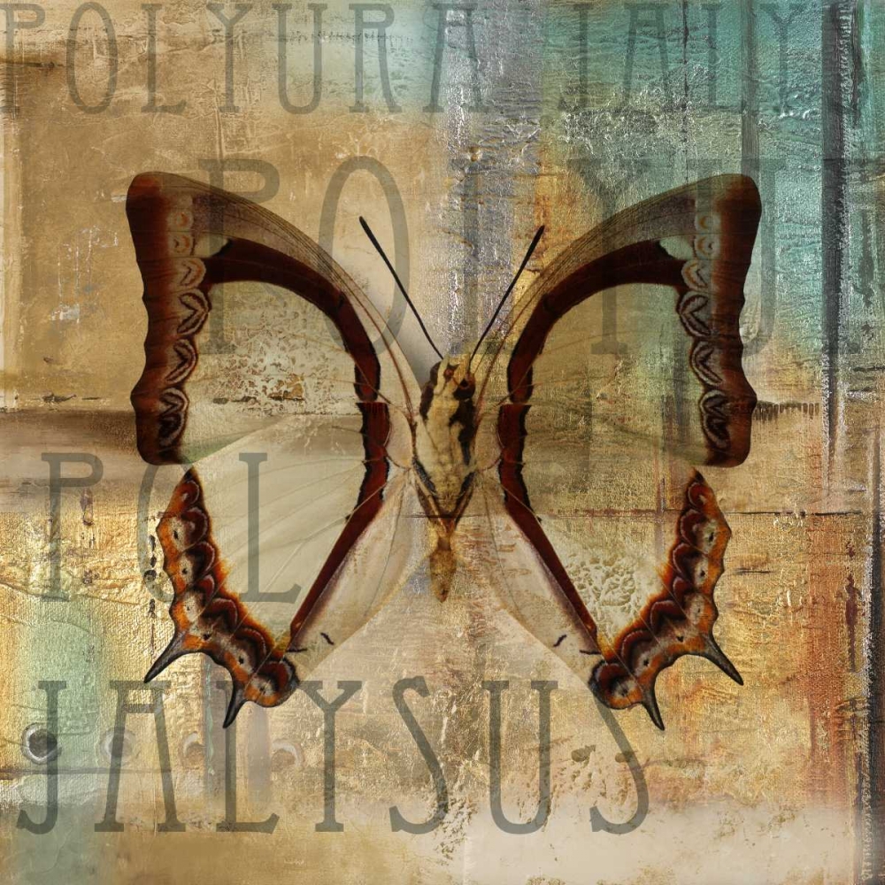 Polyurabutterfly II