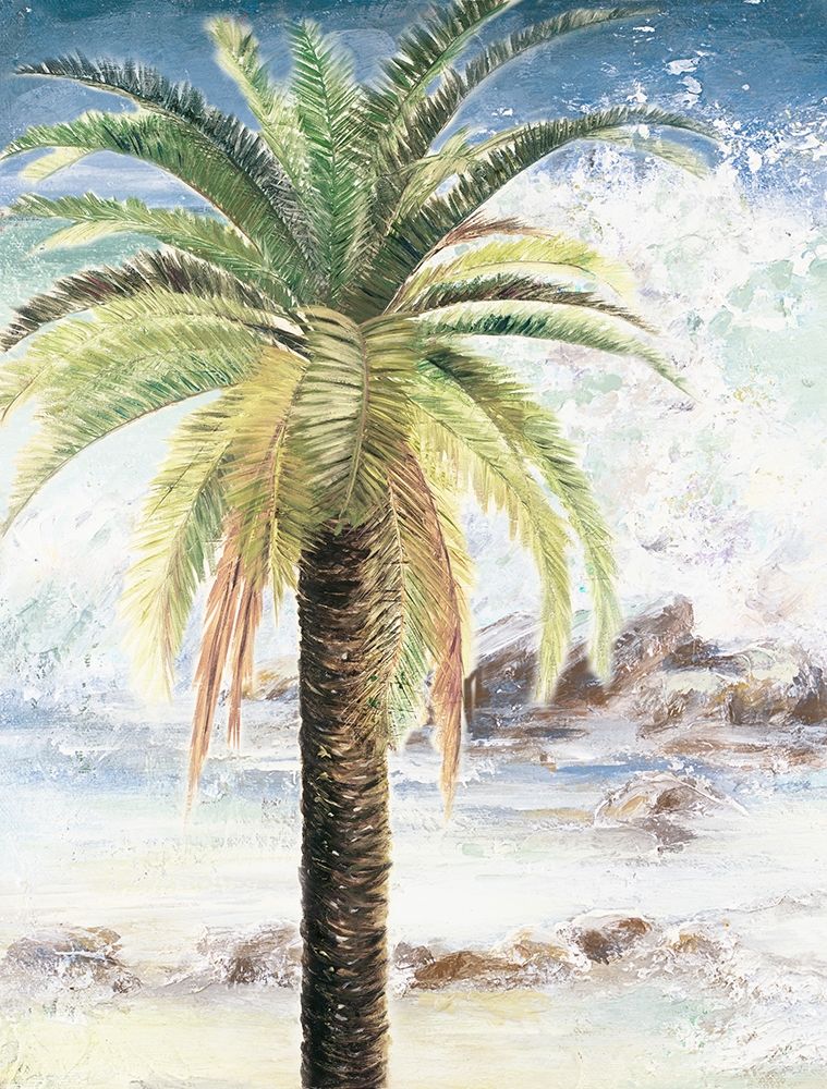 Coastal Palms II