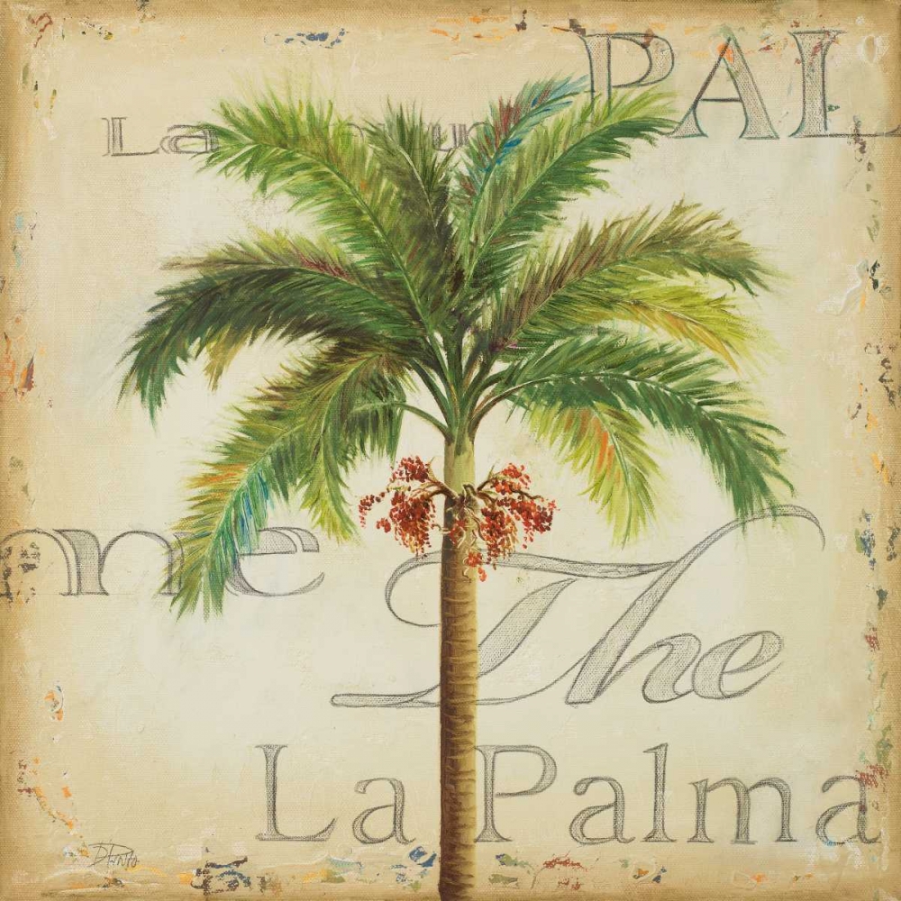 La Palma II