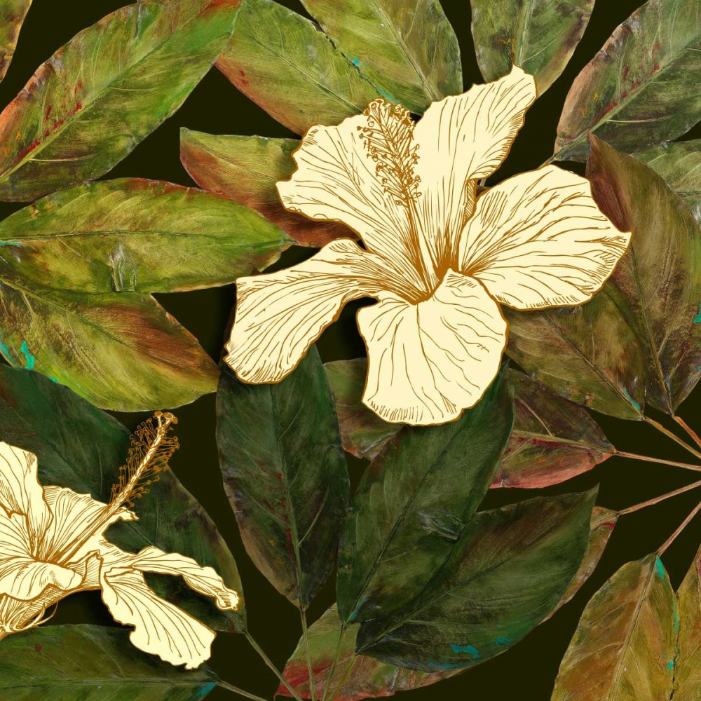 Hibiscus Leaves II