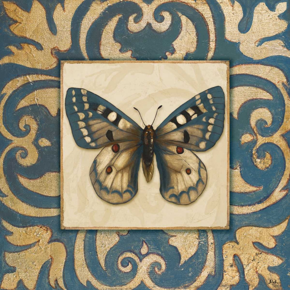 Moroccan Butterfly I