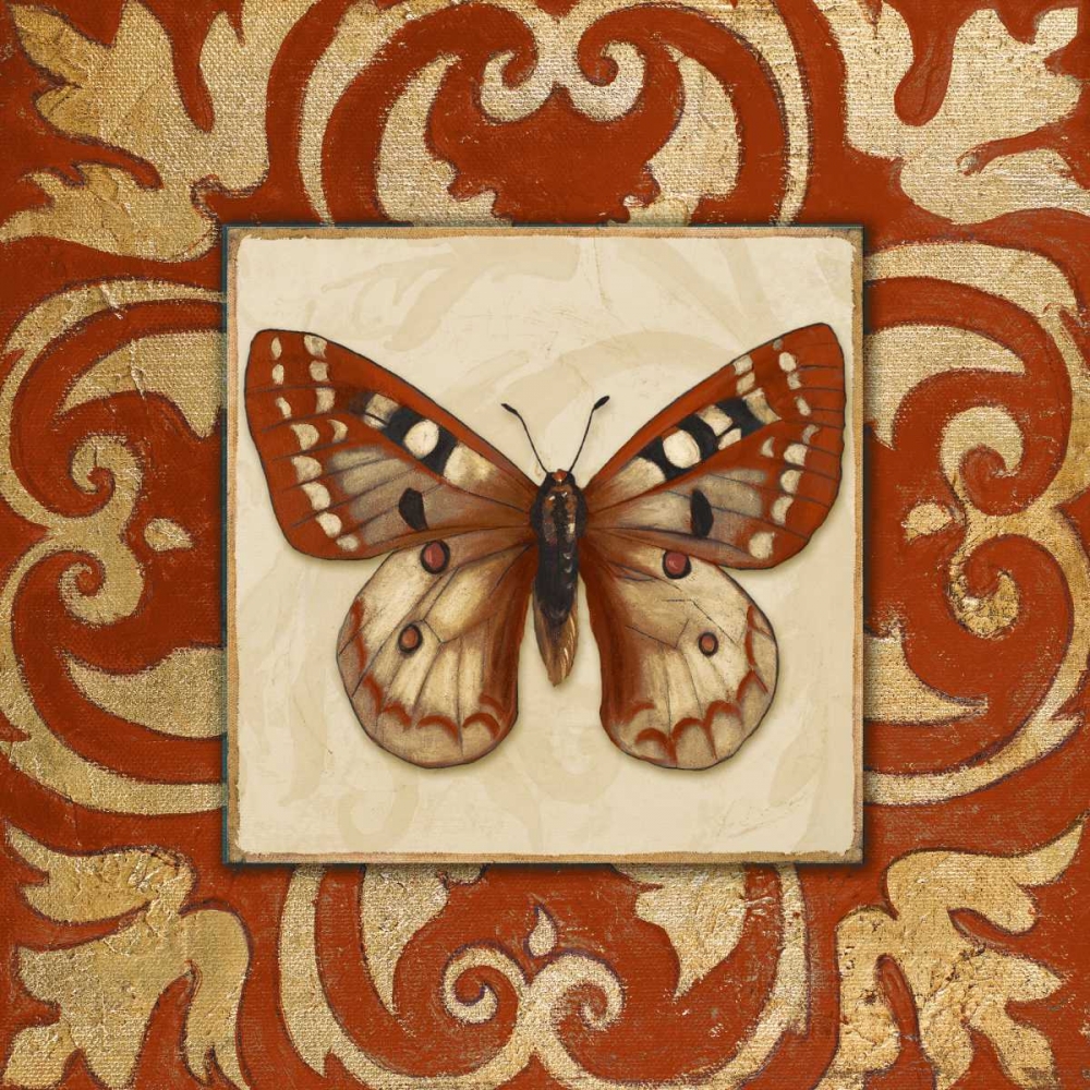 Moroccan Butterfly I