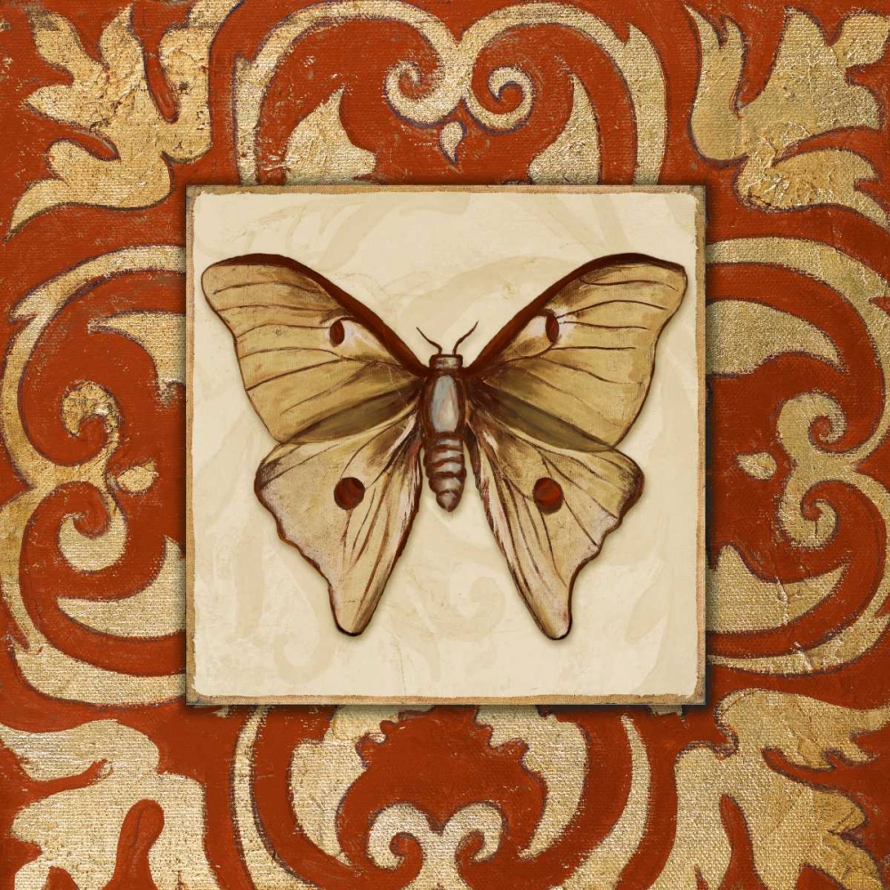 Moroccan Butterfly II