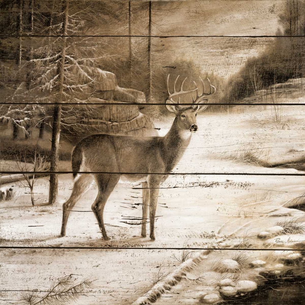 Shadows of the Forest