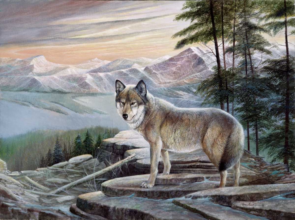 Sentinel