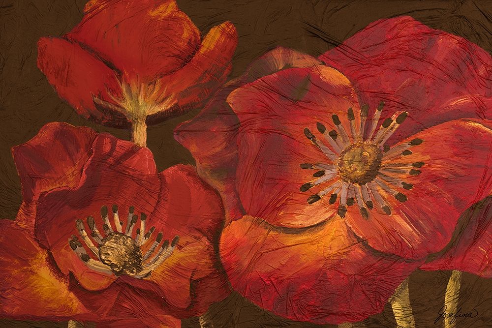 Dazzling Poppies