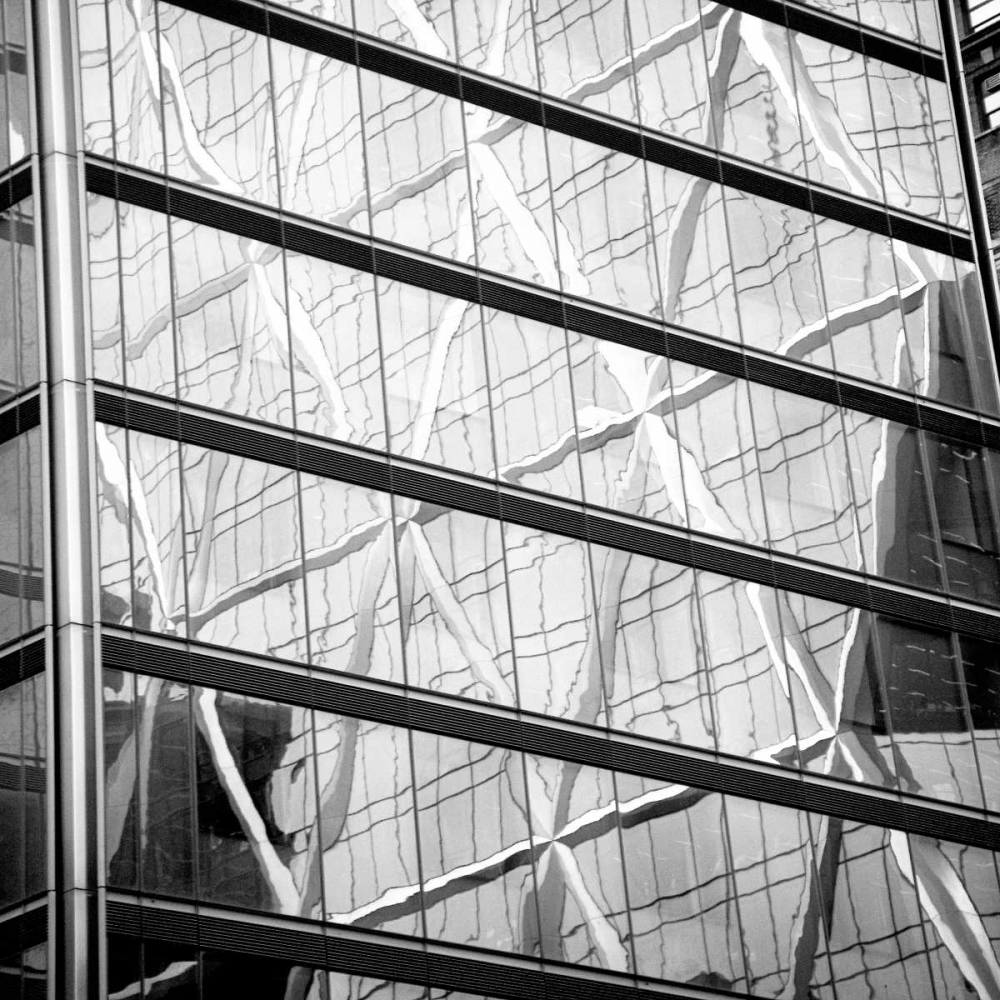 Window Reflection I
