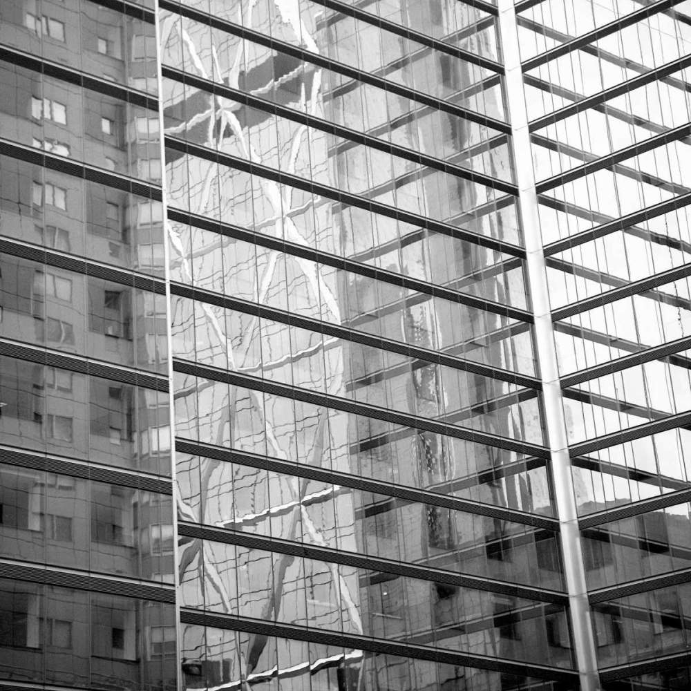 Window Reflection II