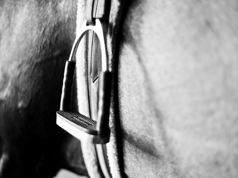 Horseback Riding II