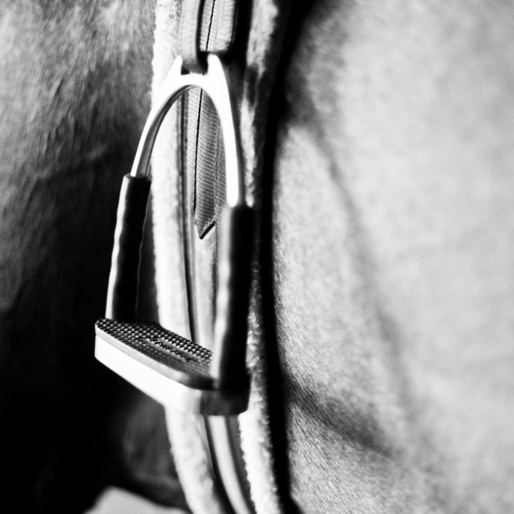 In the Stable II