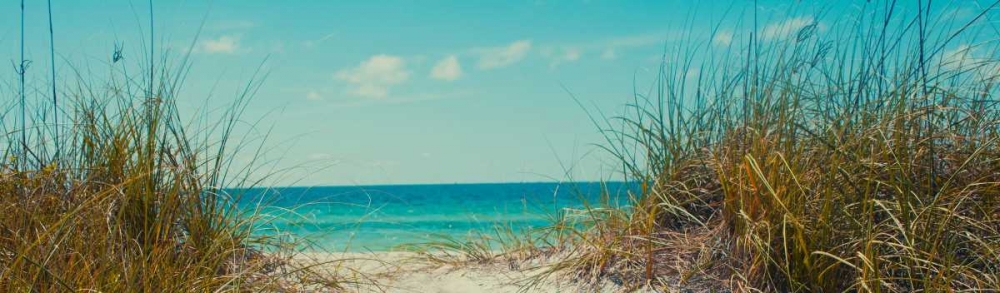 Perfect Day I
