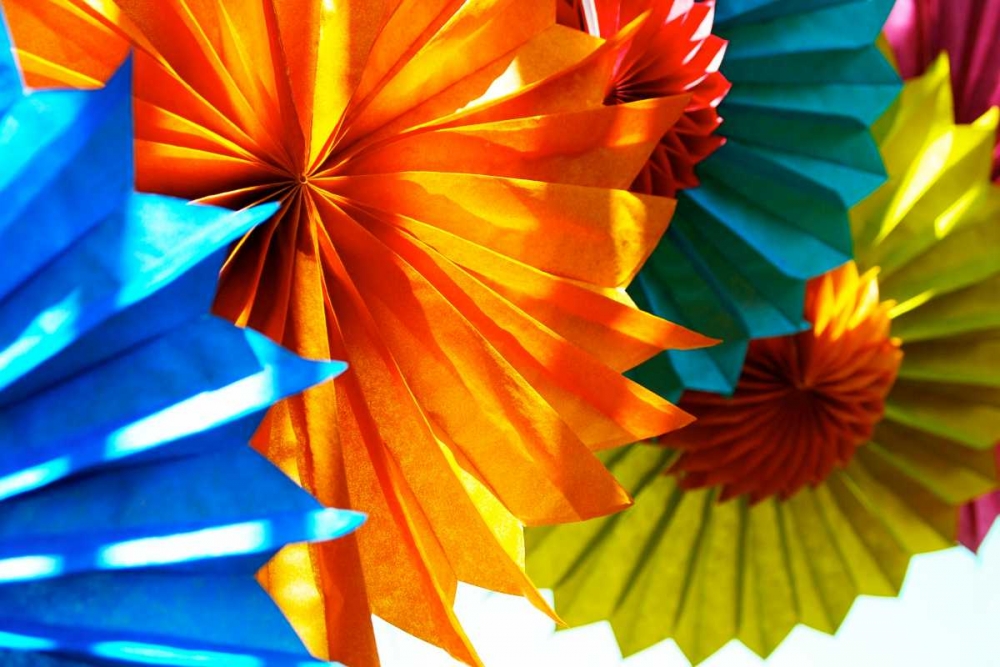 Paper Flowers