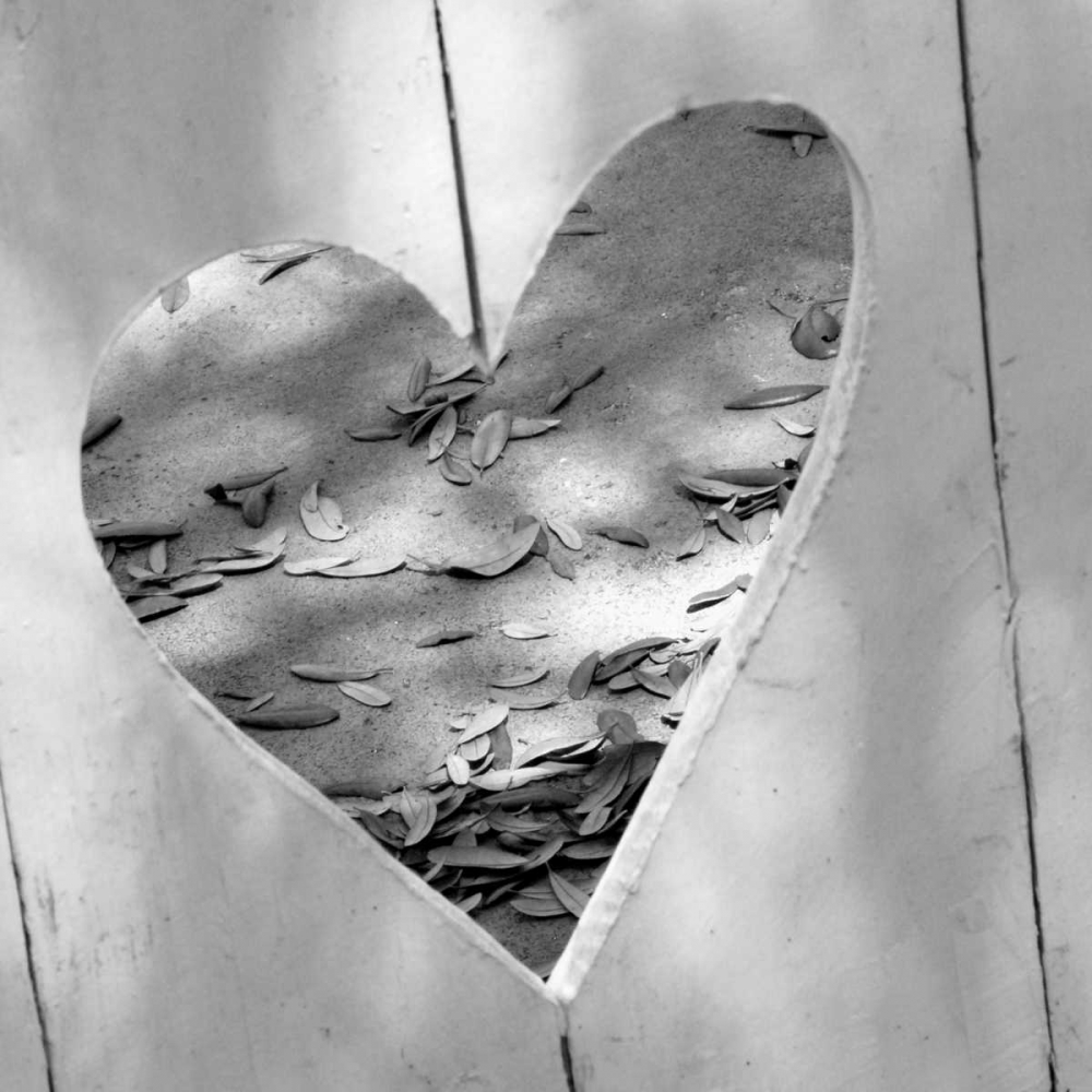 B-W Heart Full of Love