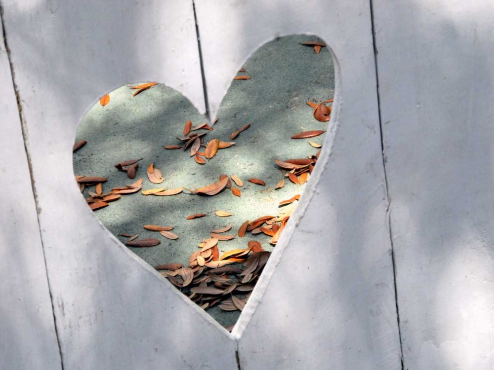 Heart Full of Love