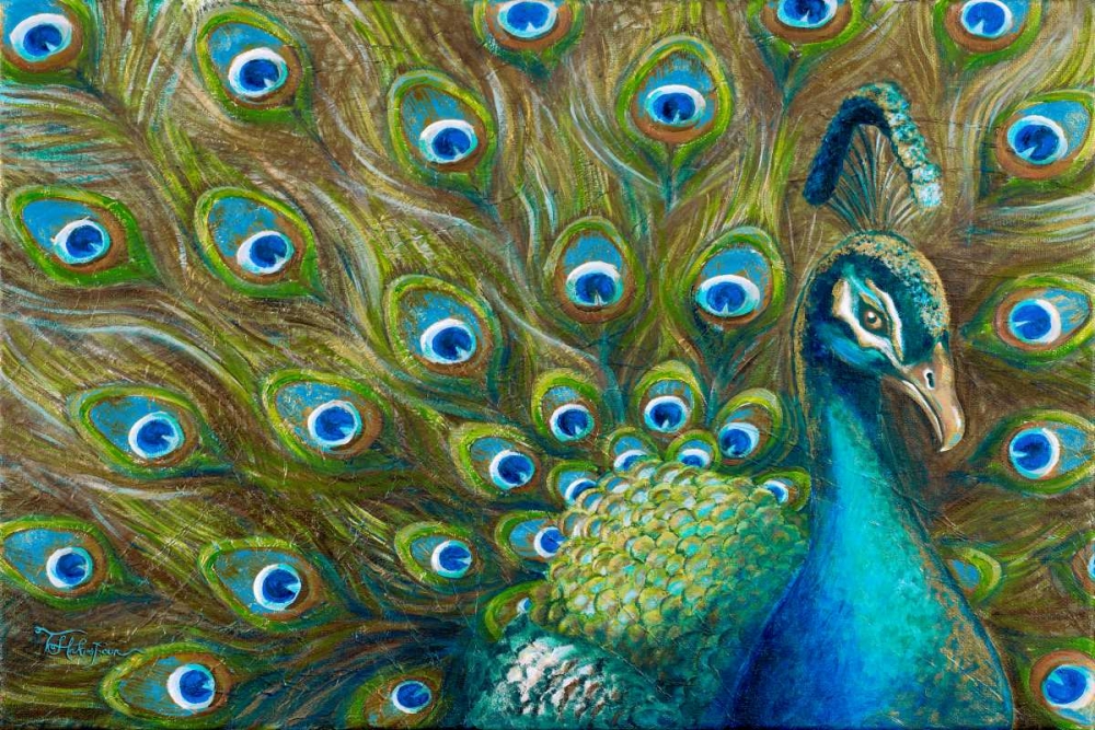 Wild Feathers
