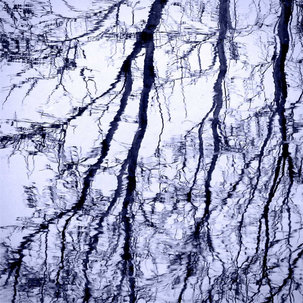 Branches on Purple