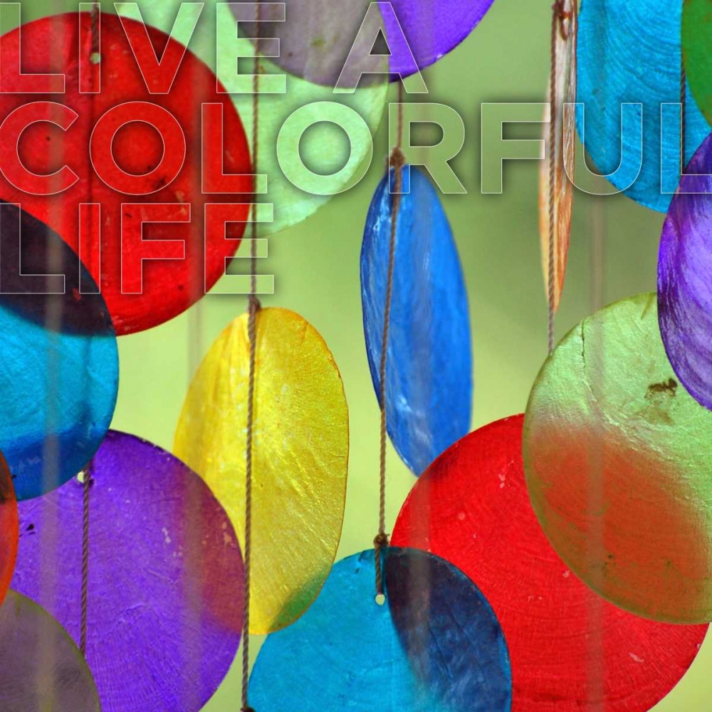 Colorful Life