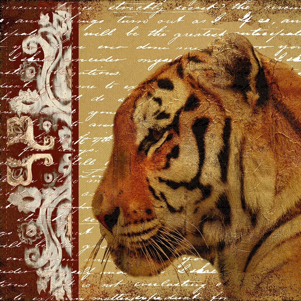 Safari Script II