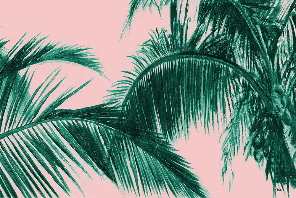 Modern Coconut Palms