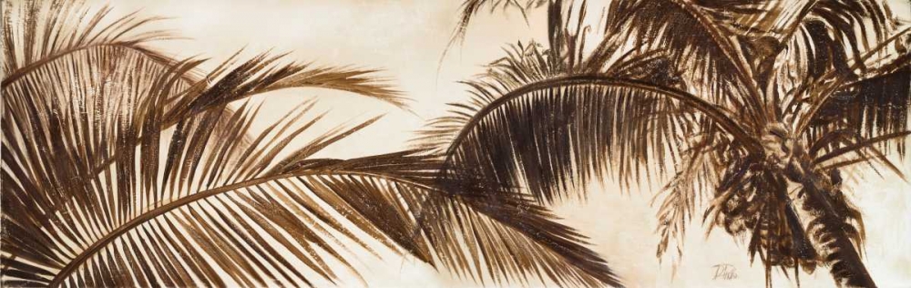 Coconut Palms