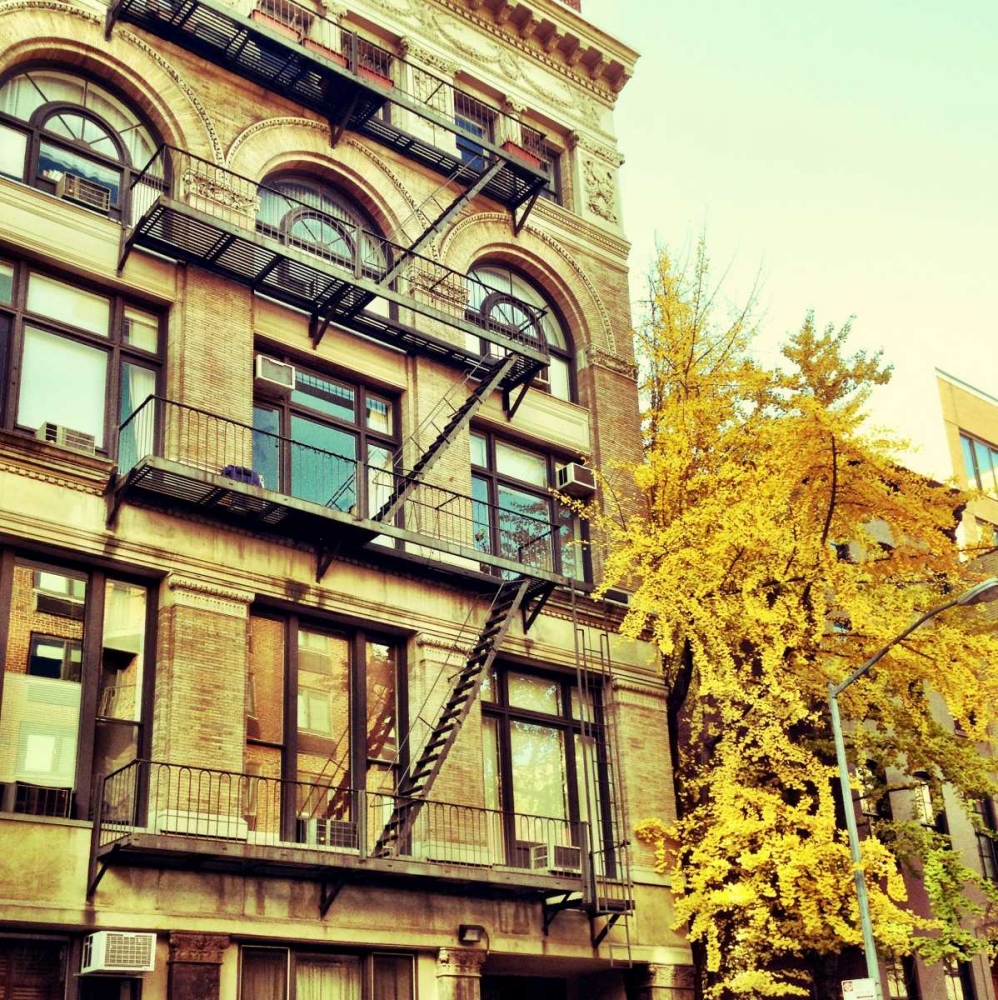 Chelsea Afternoon I