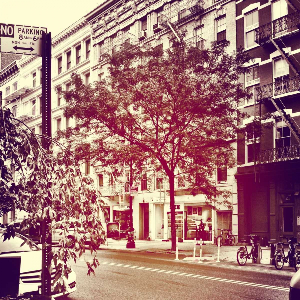 Downtown Border