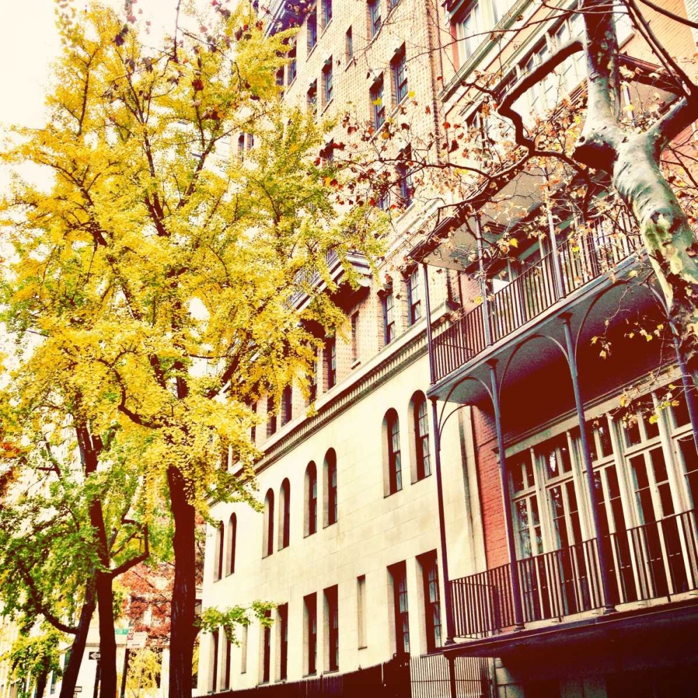 Chelsea Afternoon II