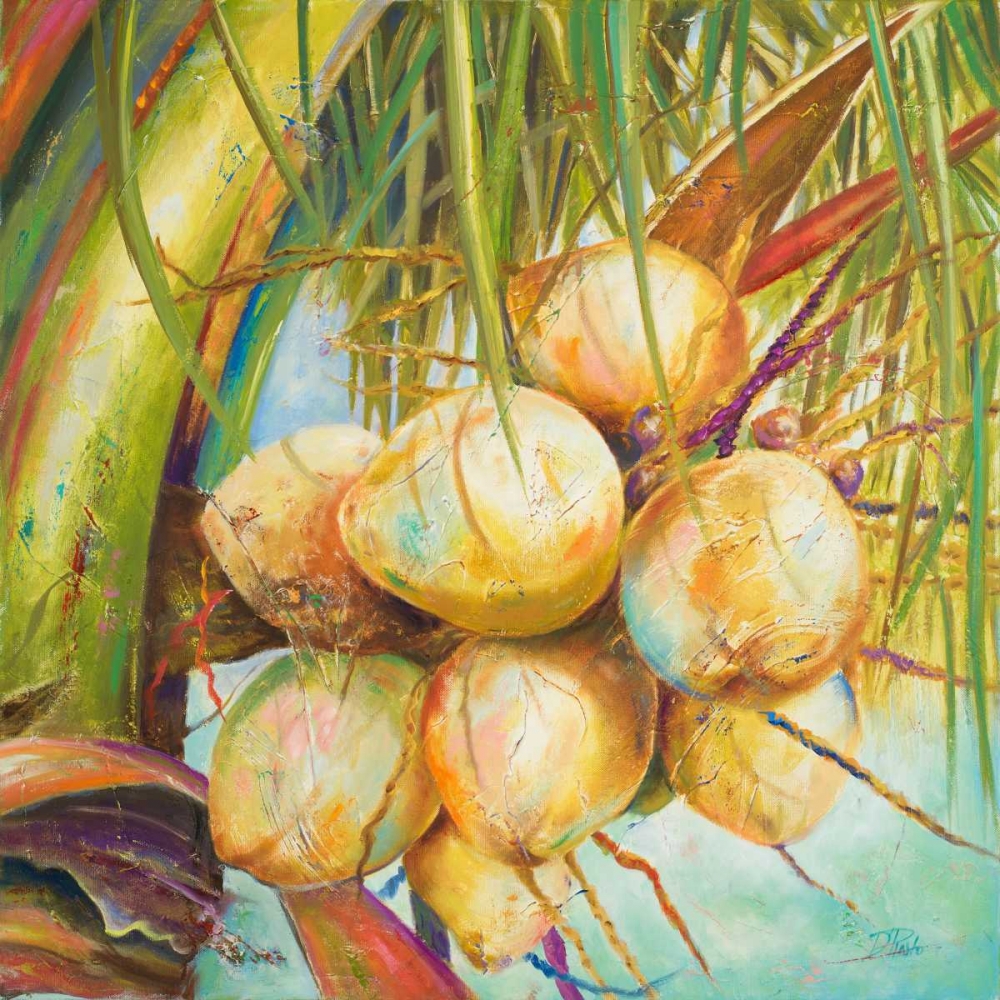 Patricias Coconuts I