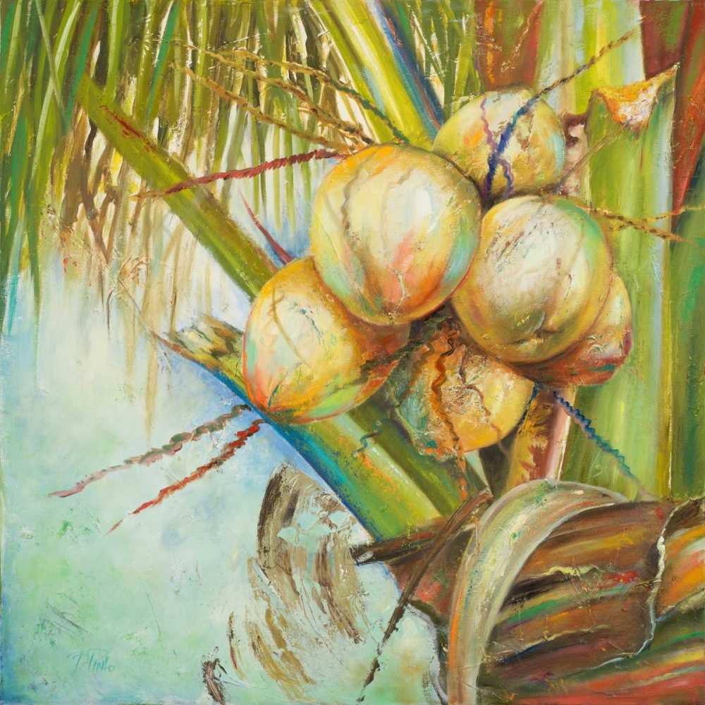 Patricias Coconuts II