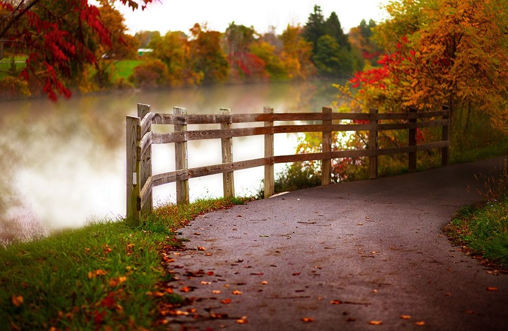 Misty Lake Path
