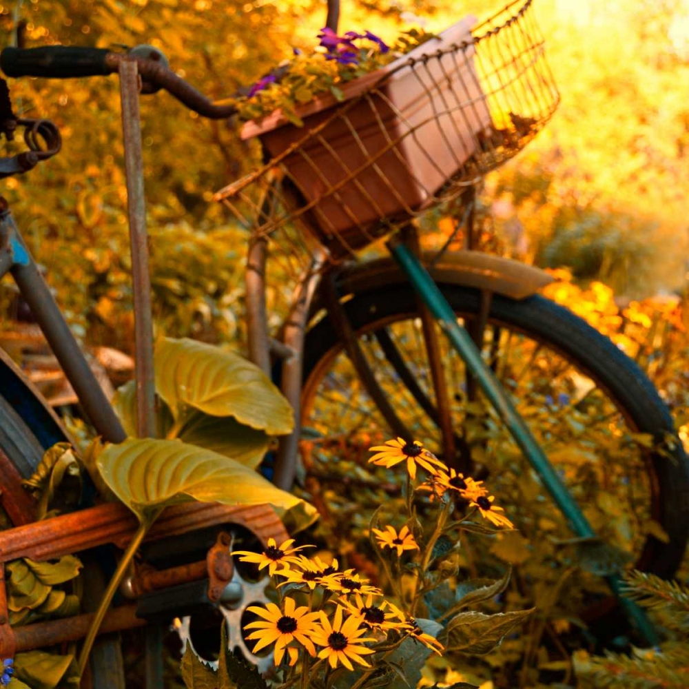 Garden Bike
