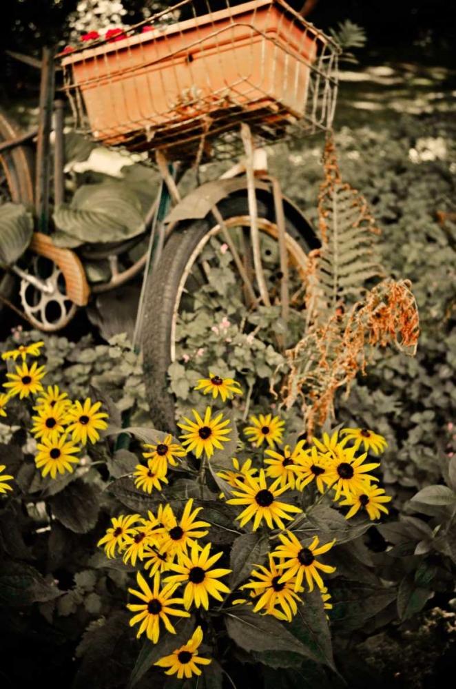 In the Fields II