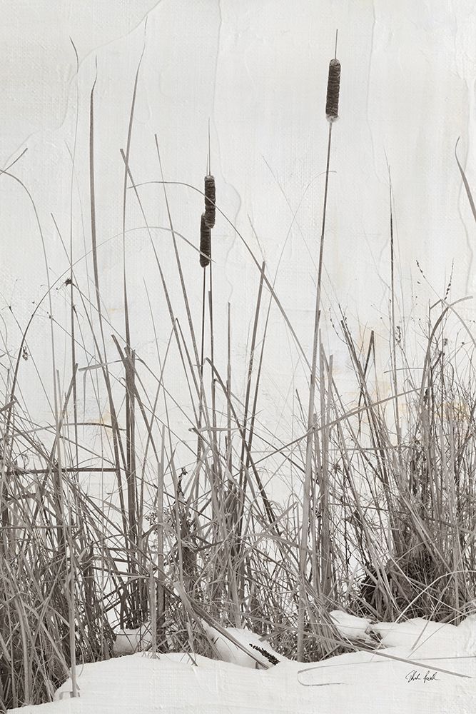 Kates Rushes II