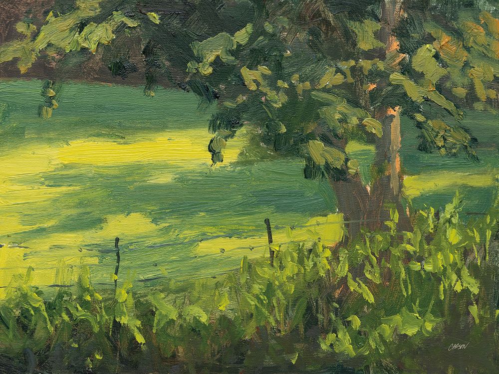 Early Morning Pasture
