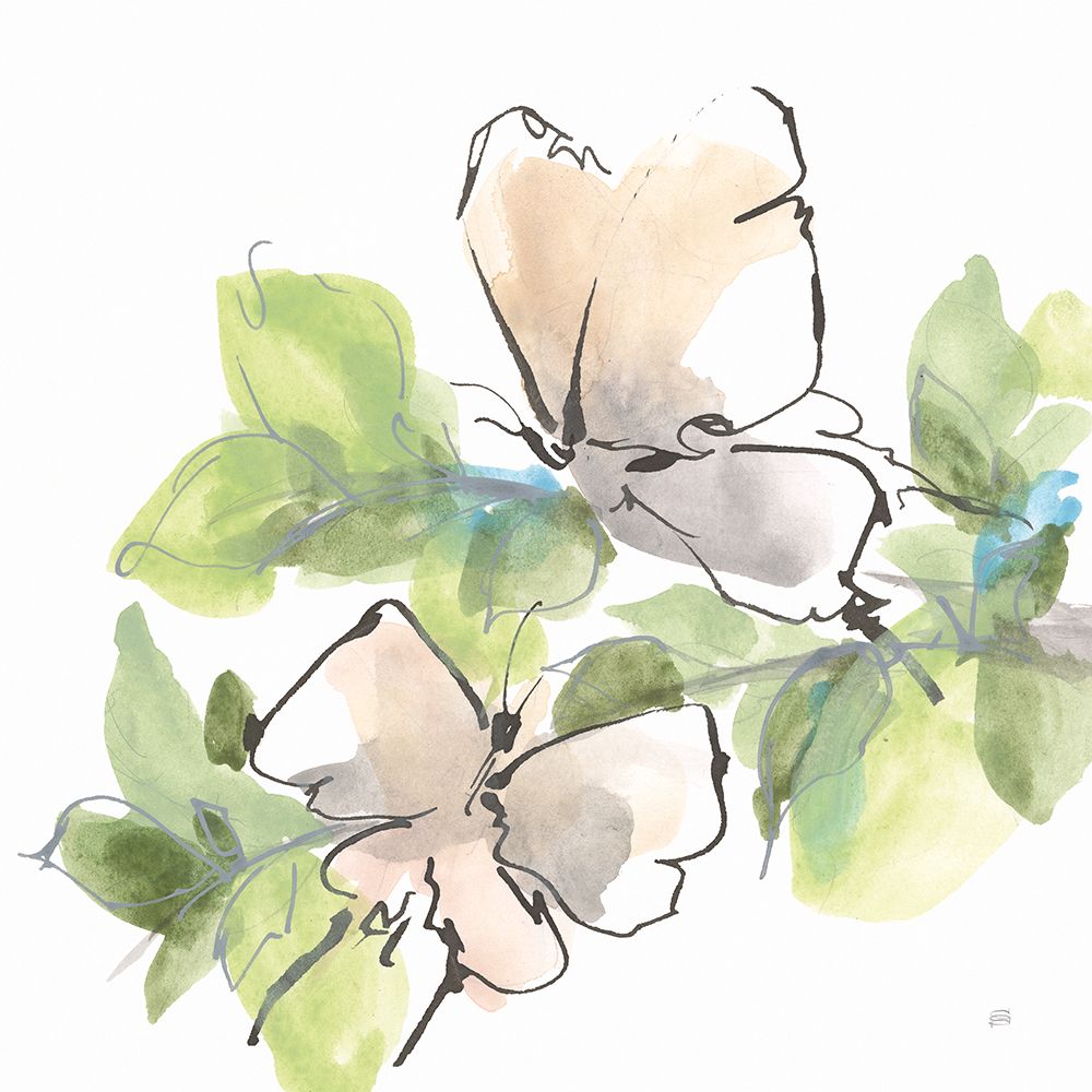 Social Butterflies II