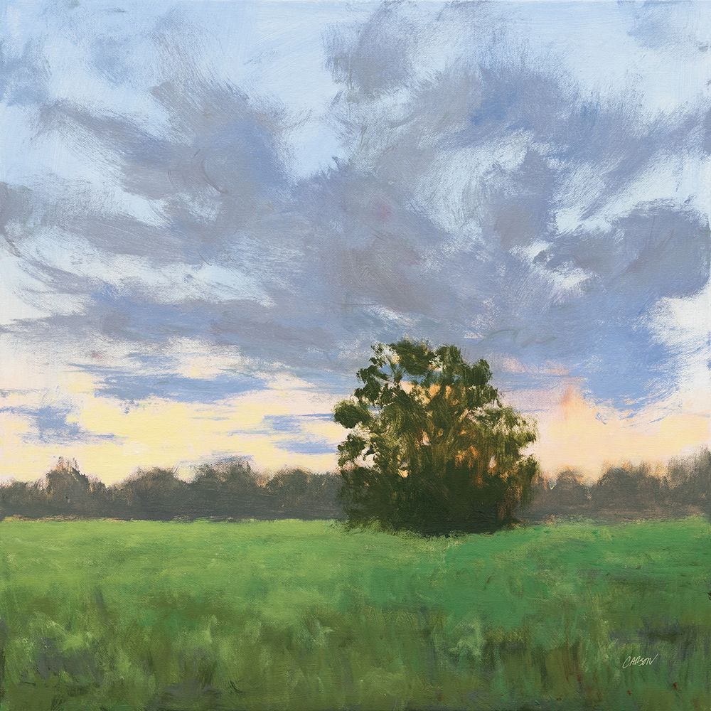 Tree at Sunset
