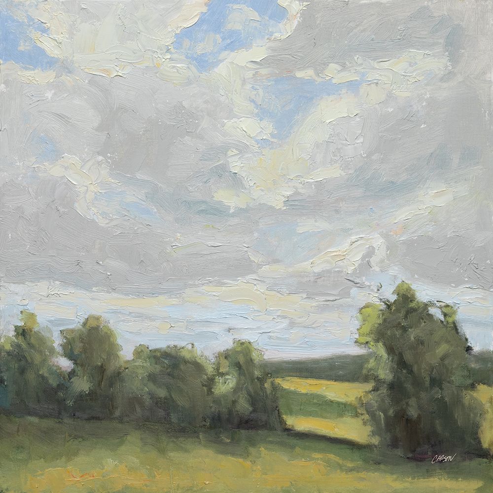 Sweeping Fields