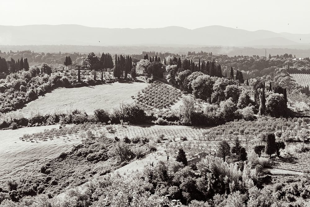 Tuscan Hills I